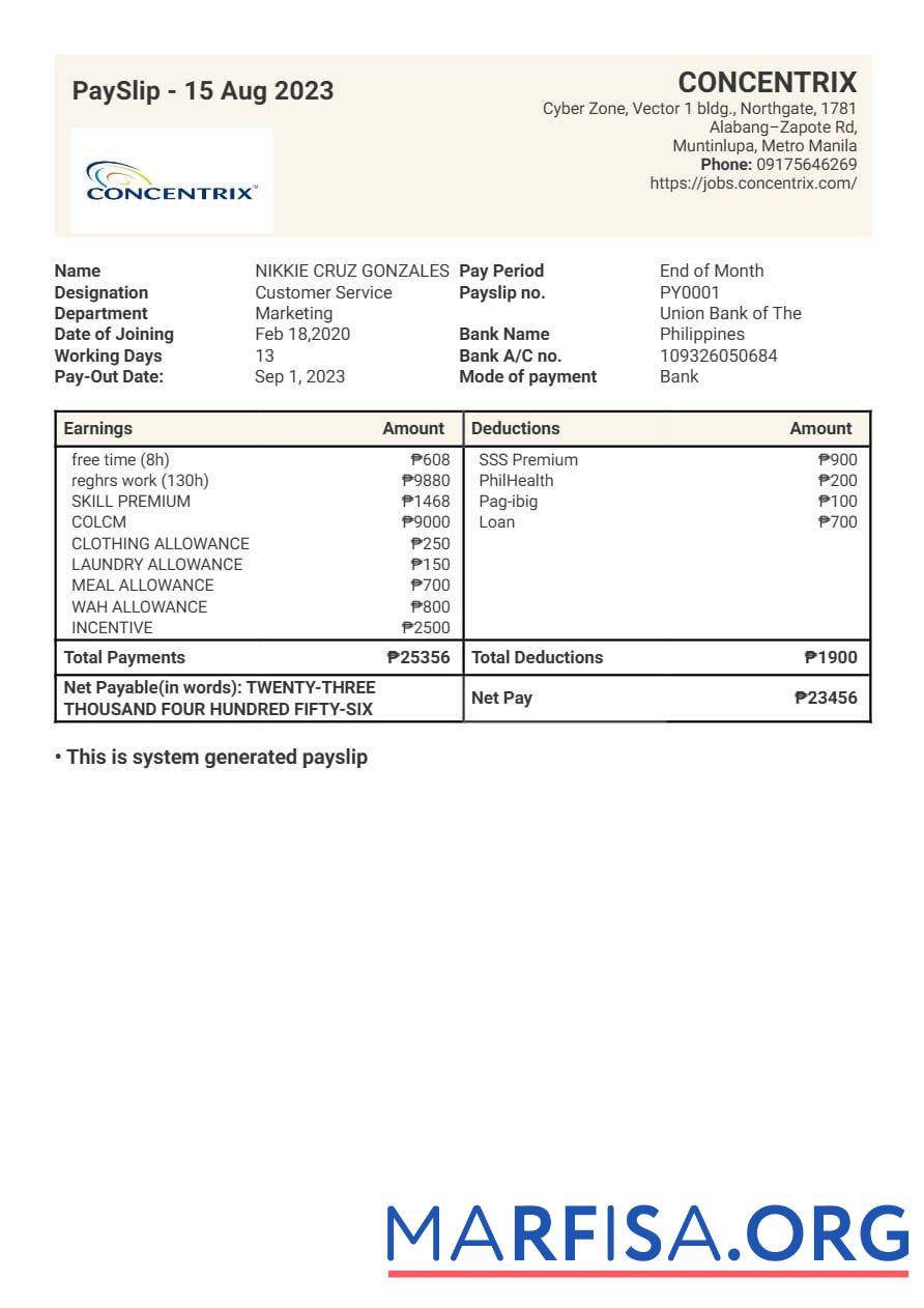 Realistic Concentrix technology and services payslip example
